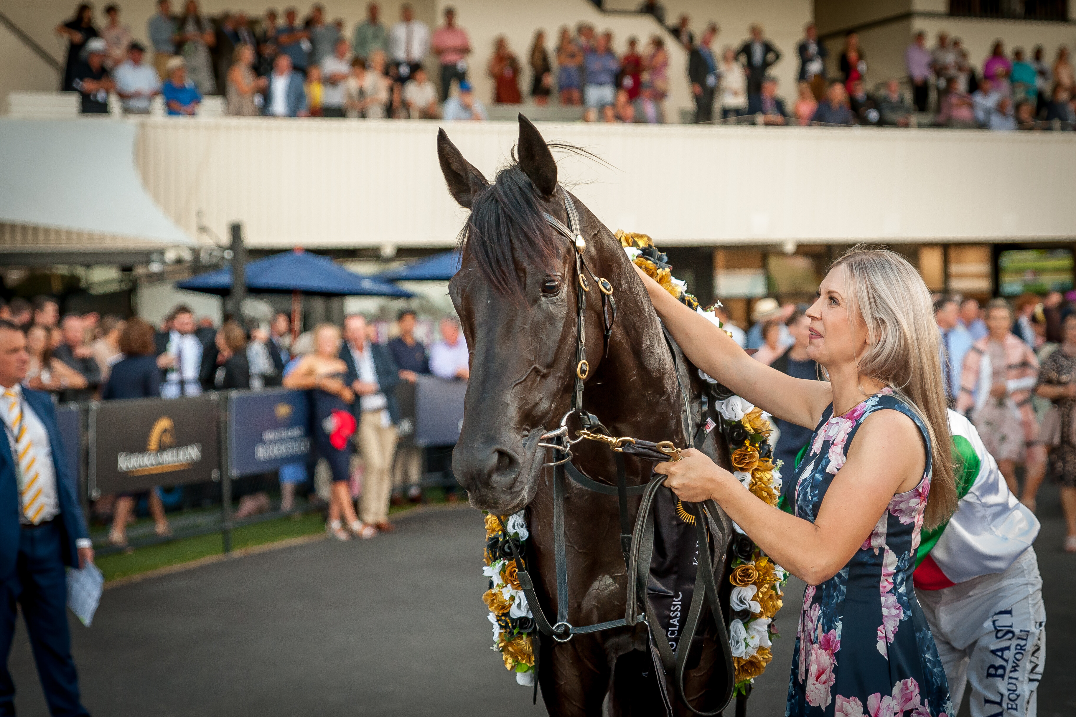 Karaka Millions Raceday